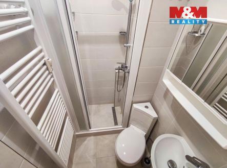 IMG_20220227_161831.jpg | Pronájem bytu, 1+kk, 26 m²