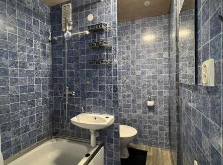 a0e6bc6d-2488-45e2-b069-6f369af218a4.jpg | Pronájem bytu, 1+1, 36 m²