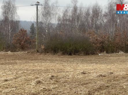 IMG_3241.jpeg | Prodej - pozemek, trvalý travní porost, 3 090 m²