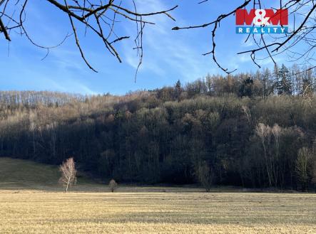 IMG_9091.jpeg | Prodej - pozemek pro bydlení, 13 250 m²