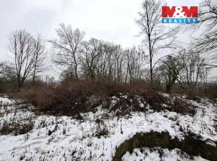 20260205_101255.jpg | Prodej - pozemek, zahrada, 525 m²