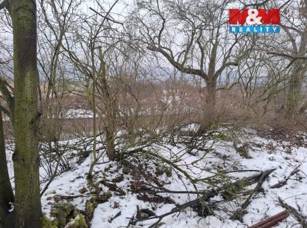 20260205_101445.jpg | Prodej - pozemek, zahrada, 525 m²