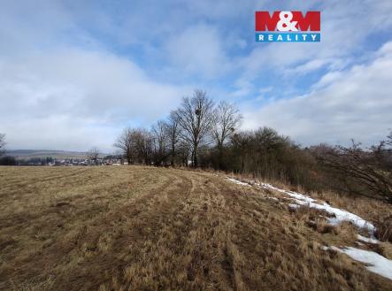 IMG_20260212_094102184.jpg | Prodej - pozemek, trvalý travní porost, 6 470 m²