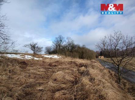 IMG_20260212_094006079.jpg | Prodej - pozemek, trvalý travní porost, 6 470 m²