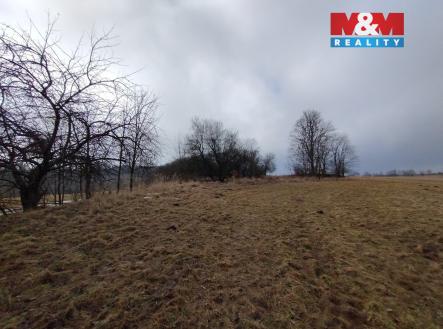 IMG_20260212_094352676.jpg | Prodej - pozemek, trvalý travní porost, 6 470 m²