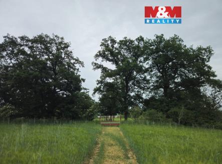 přijezd | Prodej - pozemek, les, 7 985 m²