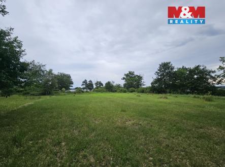 pozemek | Prodej - pozemek, les, 7 985 m²