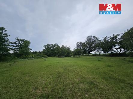 pozemek | Prodej - pozemek, les, 7 985 m²