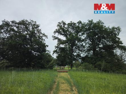 přijezd | Prodej - pozemek, les, 7 985 m²