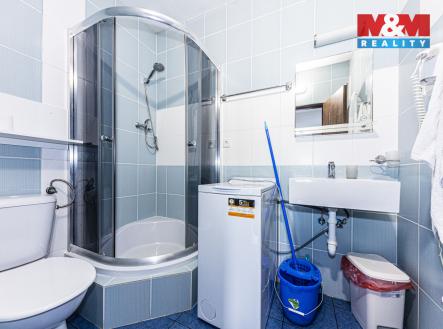 IMG_2264-HDR.jpg | Pronájem bytu, 1+kk, 24 m²