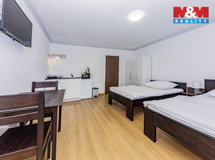 IMG_2464-HDR.jpg | Pronájem bytu, 1+kk, 25 m²