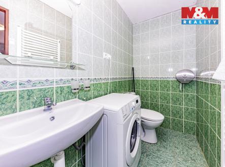 IMG_2522-HDR.jpg | Pronájem bytu, 1+kk, 21 m²