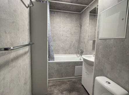 IMG_2491.jpeg | Pronájem bytu, 3+1, 70 m²