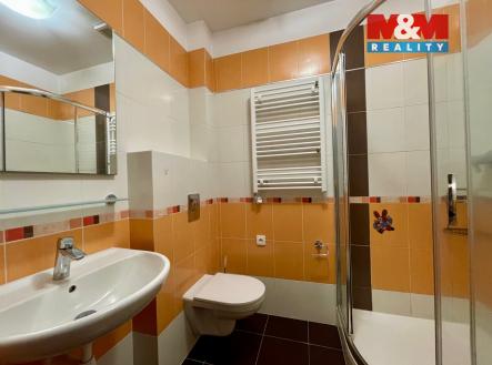 IMG_5858.jpg | Pronájem bytu, 1+1, 25 m²