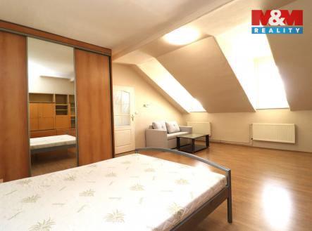 IMG_4195.jpg | Pronájem bytu, 1+1, 46 m²