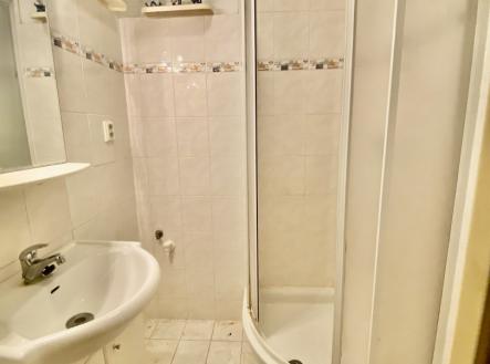 IMG_8870.jpeg | Pronájem bytu, 2+1, 55 m²