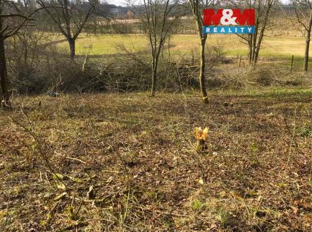 4.jpg | Prodej - pozemek, zahrada, 1 582 m²