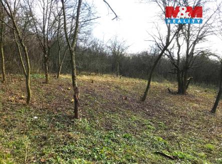 3.jpg | Prodej - pozemek, zahrada, 1 582 m²