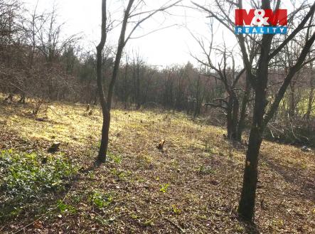 1.jpg | Prodej - pozemek, zahrada, 1 582 m²