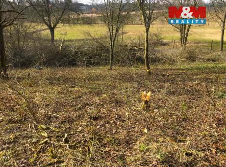 4.jpg | Prodej - pozemek, zahrada, 394 m²