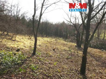 1.jpg | Prodej - pozemek, zahrada, 782 m²