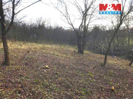 2.jpg | Prodej - pozemek, zahrada, 782 m²