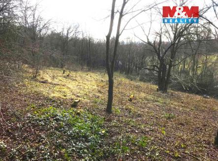 5.jpg | Prodej - pozemek, zahrada, 782 m²