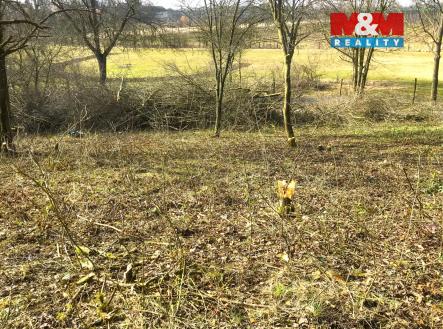 9.jpg | Prodej - pozemek, zahrada, 782 m²