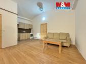 Pronájem bytu, 1+1, 45 m²