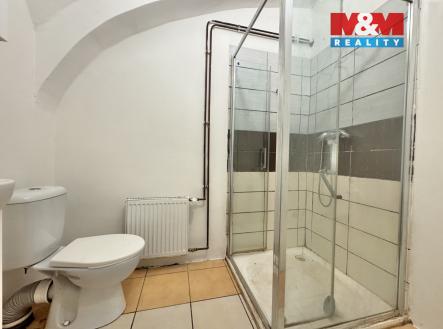 IMG_3876.jpeg | Pronájem bytu, 1+1, 45 m²