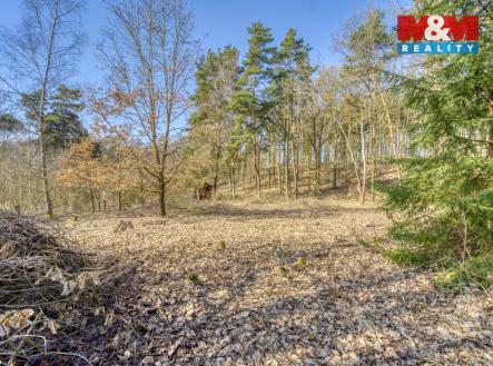 25_DSC04533_25.jpg | Prodej - pozemek, zahrada, 1 697 m²