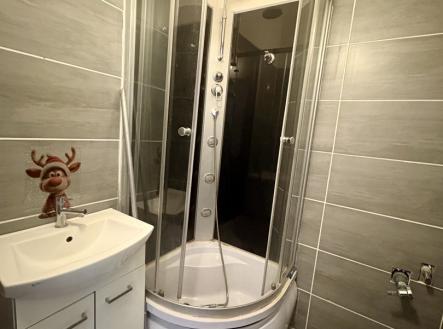 IMG_5403.jpeg | Pronájem bytu, 2+1, 55 m²