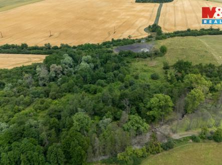 louka | Prodej - pozemek, trvalý travní porost, 46 243 m²