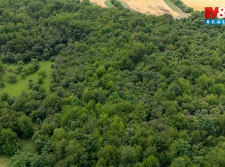 louka | Prodej - pozemek, trvalý travní porost, 46 243 m²