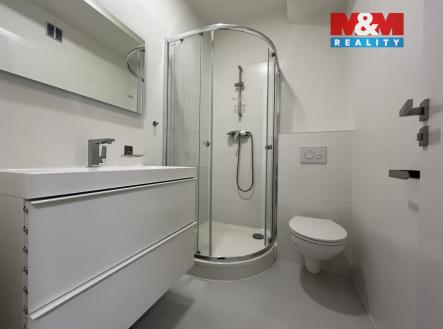 IMG_7404.jpeg | Pronájem bytu, 1+kk, 22 m²