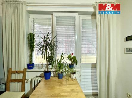 IMG_8392.jpeg | Pronájem bytu, 1+kk, 23 m²