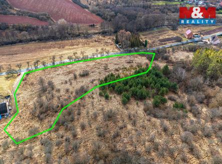 Pozemek_Nec╠îemice_10.jpg | Prodej - pozemek, trvalý travní porost, 10 841 m²