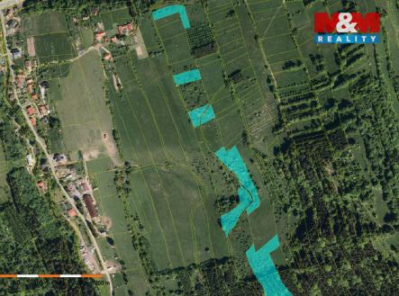 Správná louka.jpg | Prodej - pozemek, les, 61 613 m²