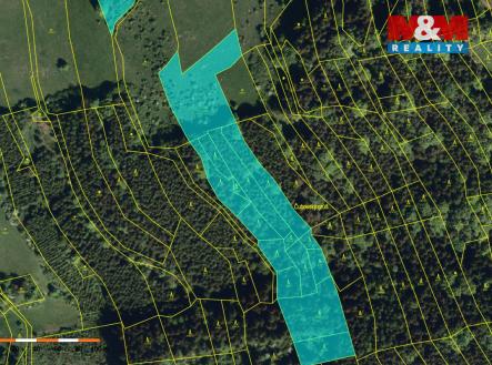 LES II.jpg | Prodej - pozemek, les, 61 613 m²