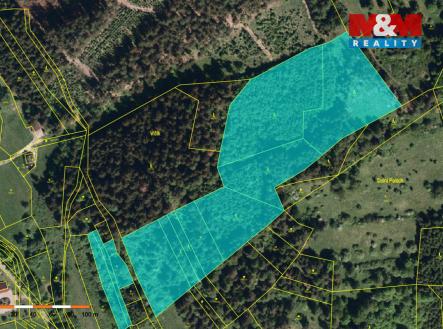 Les.jpg | Prodej - pozemek, les, 32 112 m²