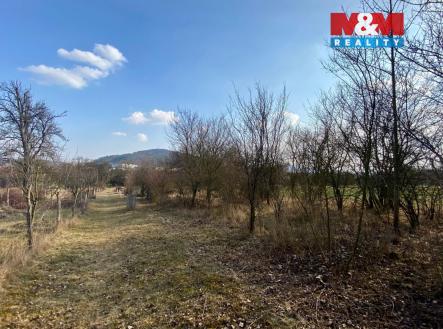 IMG-20260305-WA0002.jpg | Prodej - pozemek, zahrada, 2 564 m²