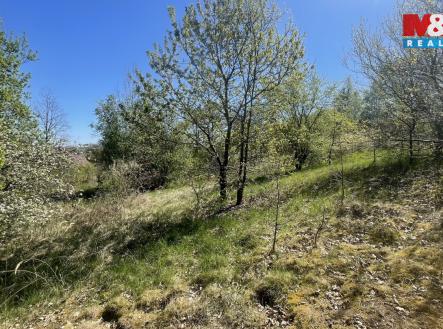 IMG_6078.jpg | Prodej - pozemek pro bydlení, 3 556 m²