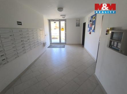 IMG_20260226_125746.jpg | Pronájem bytu, 1+kk, 31 m²