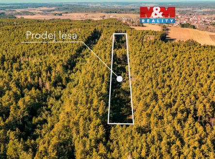 OK les 1.jpg | Prodej - pozemek, les, 18 382 m²