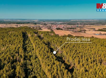 OK les 3.jpg | Prodej - pozemek, les, 18 382 m²