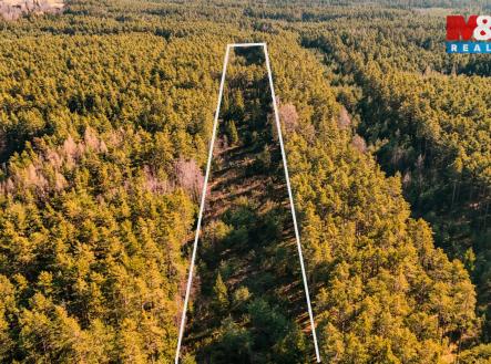 OK les 2.jpg | Prodej - pozemek, les, 18 382 m²