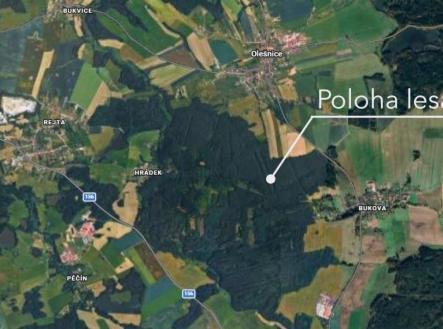 Les mapka Olešnice.jpg | Prodej - pozemek, les, 18 382 m²