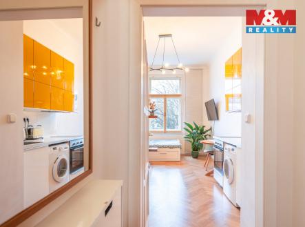 untitled (24 of 36).jpg | Pronájem bytu, 1+kk, 23 m²