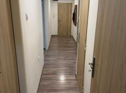 PHOTO-2026-03-02-17-54-39.jpg | Pronájem bytu, 2+1, 60 m²