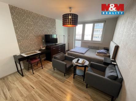 IMG_6649.jpeg | Pronájem bytu, 1+kk, 28 m²